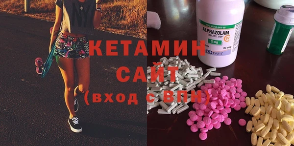 крисы Алексин