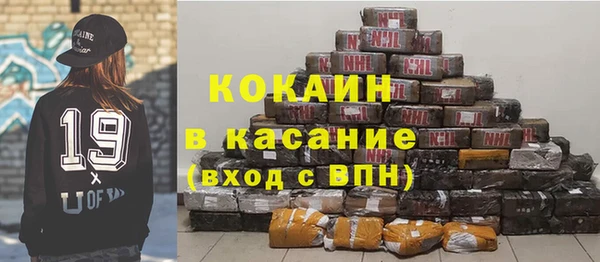 крисы Алексин